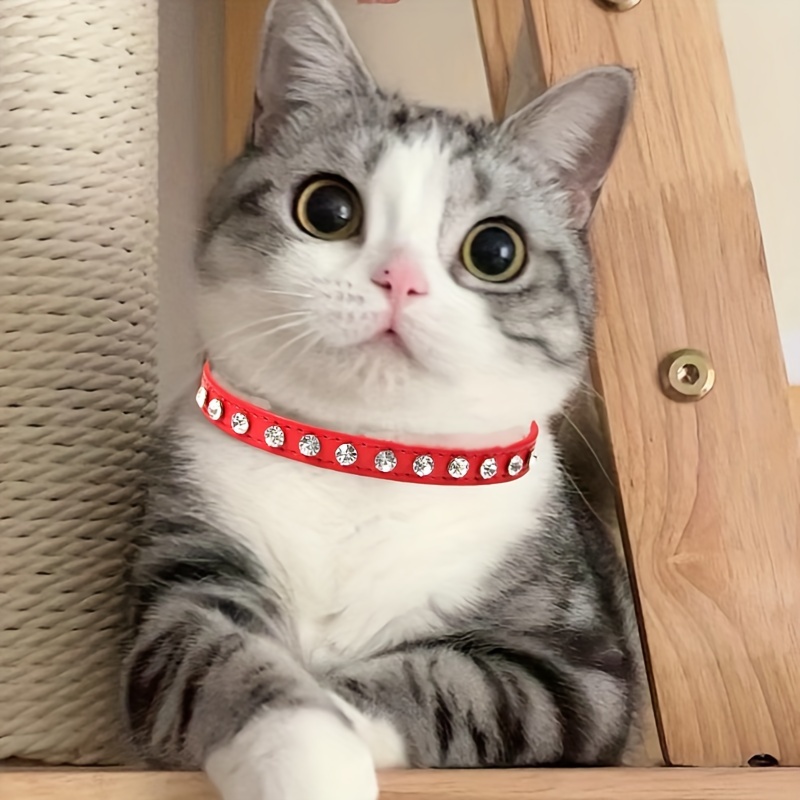 TOGEVAL Pet Halsband Mit Flügel Dekor - Verstellbares Halsband Für Hunde & Katzen