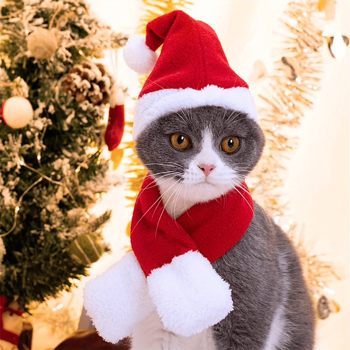 

Christmas Pet Outfit Set - Hat & And , Polyester, For //fall