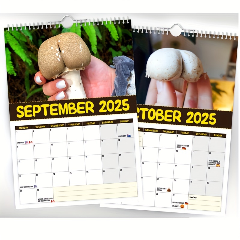 2025 Wall Calendar Images Funny 