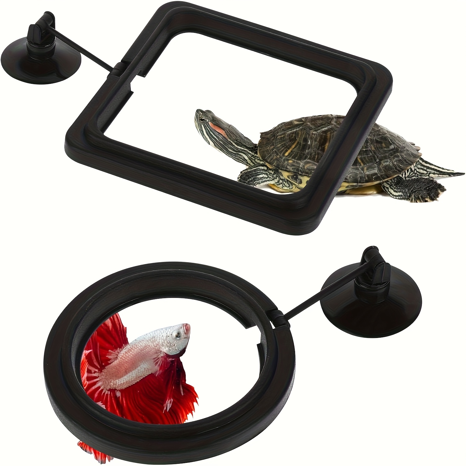 Set Of 2 Fish Tank Feeding Rings Equipped With Suction Cups, Designed For Floating Plants, Water Change Fish Feeders, And Suitable For , Goldfish, And Turtles (in Black Color), Without Battery