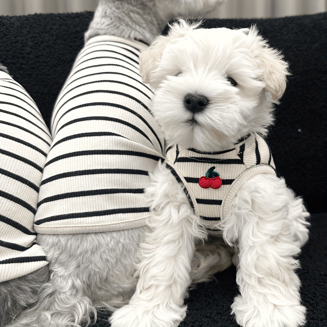 E-shop Niedliches Kirschgestreiftes Weste Schnauzer Weste Sommer Neues Haustier Hund Katze Dünner Stil