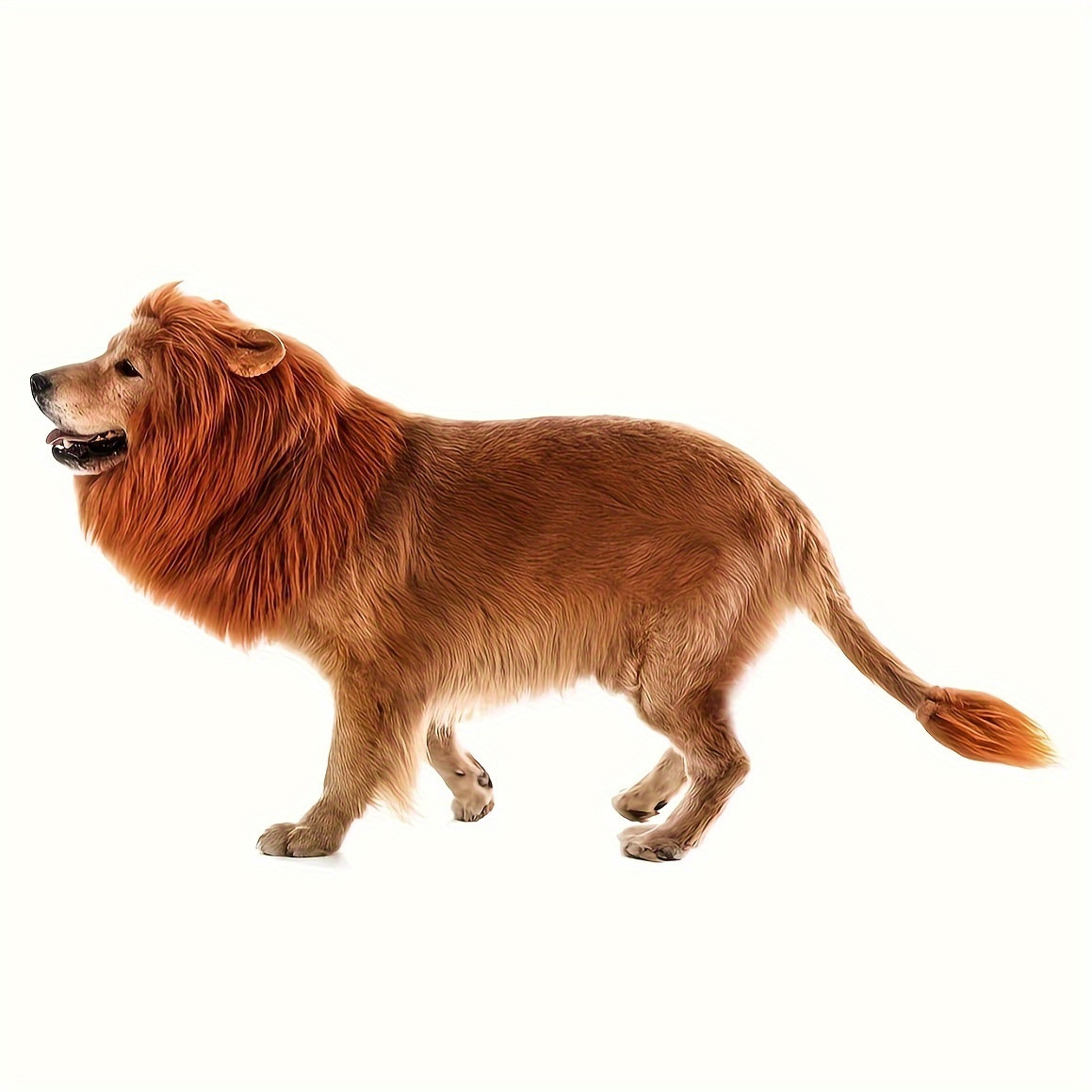 

Dog - Fun & Fluffy Pet Accessory For Halloween, All- /, To Large Breeds