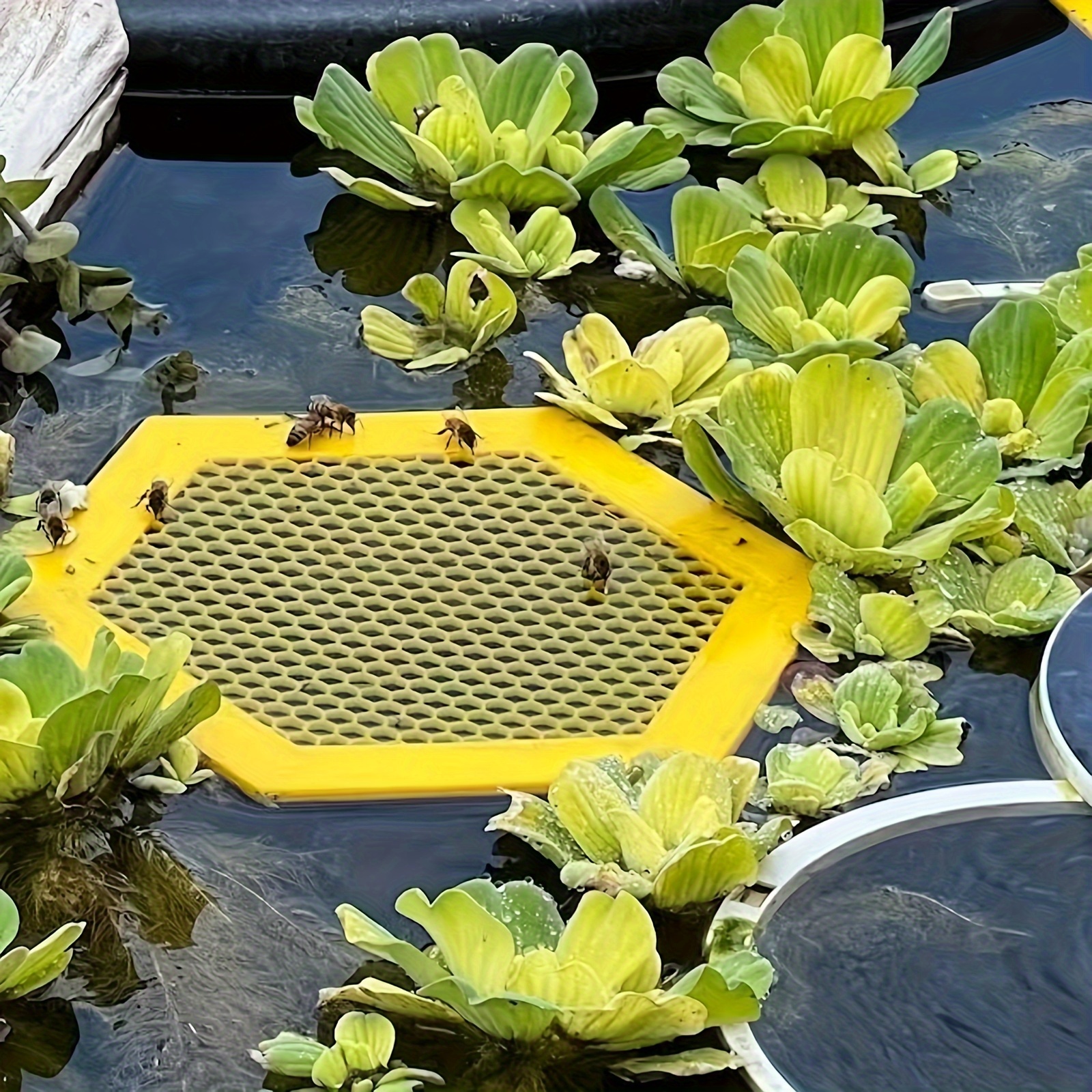 

Bee-inspired Garden Water Dish - Vibrant Insect Drinking Plate For A Lively Garden, No Power Needed Brighten Your With Nature's Buzz