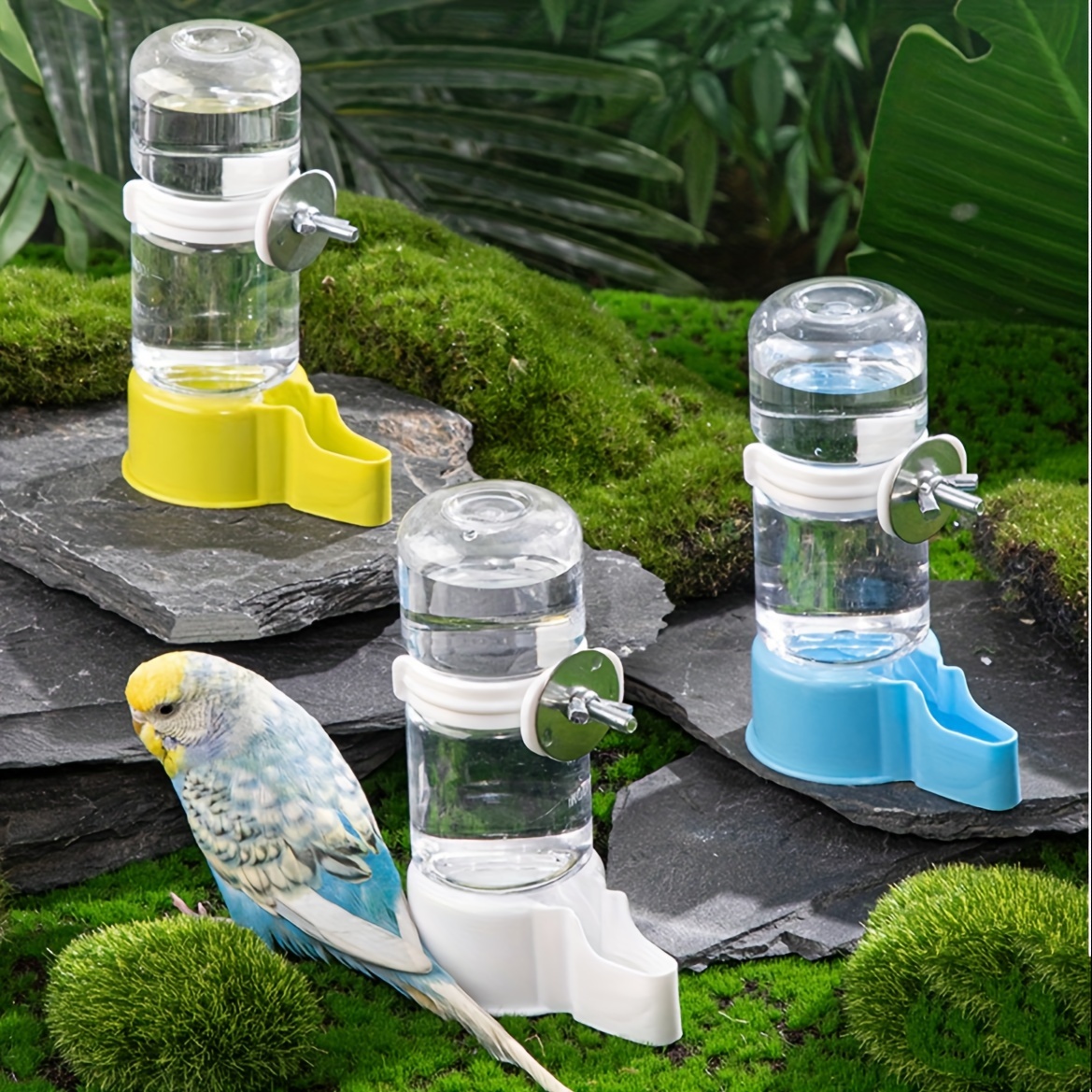 Budgie hotsell sipper bottle