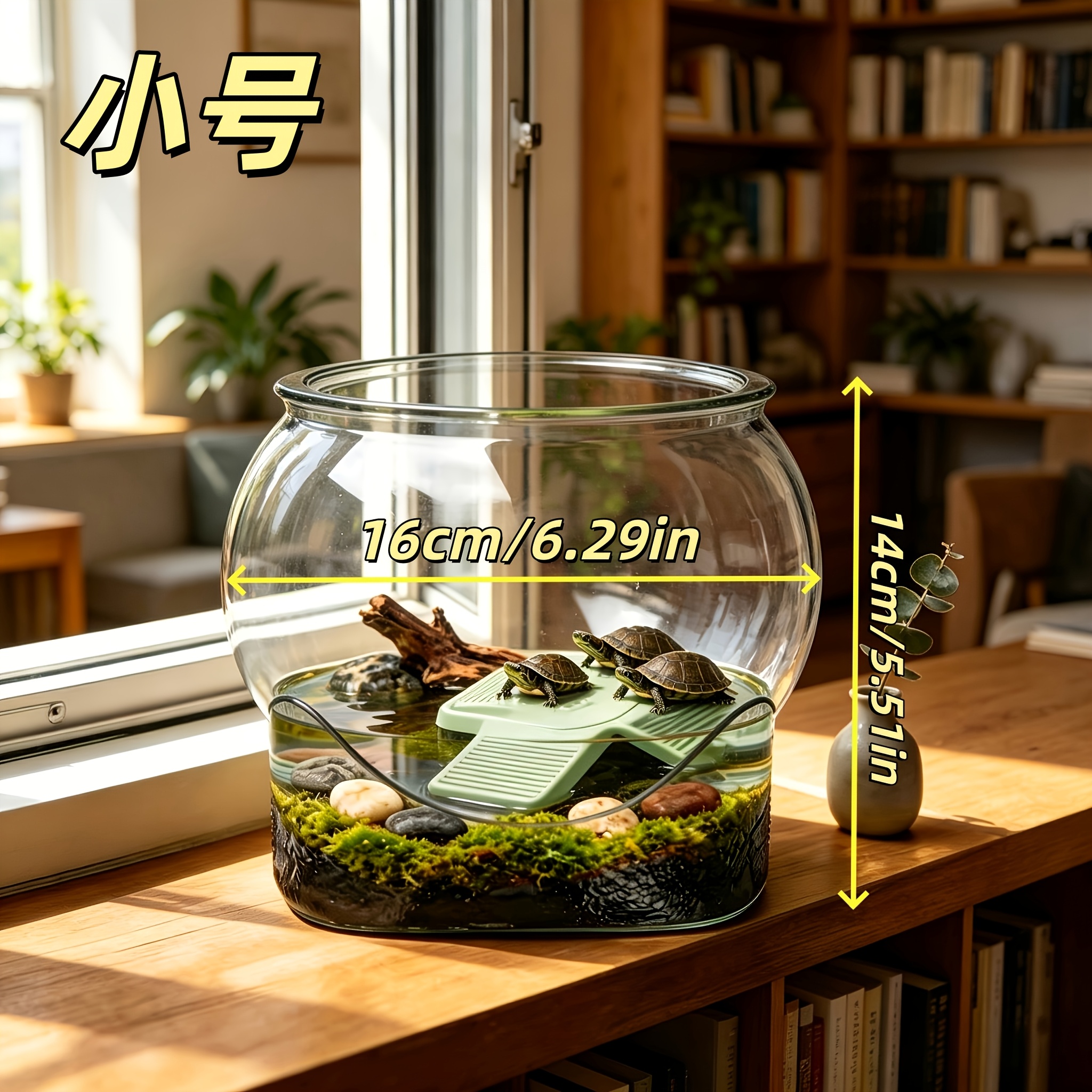 TEMU Aquarium transparent à fond carré renforcé anti-chute | Texture roche naturelle, aquarium de bureau | Universel intérieur/extérieur pour élever