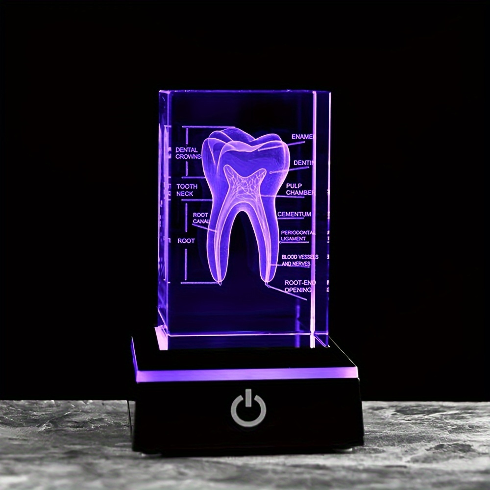 TEMU 3d Led Human Tooth Crystal Glass Model Light, Laser Engraved Anatomical Dental Design, Hotel & Office Decor, Dentist Gift