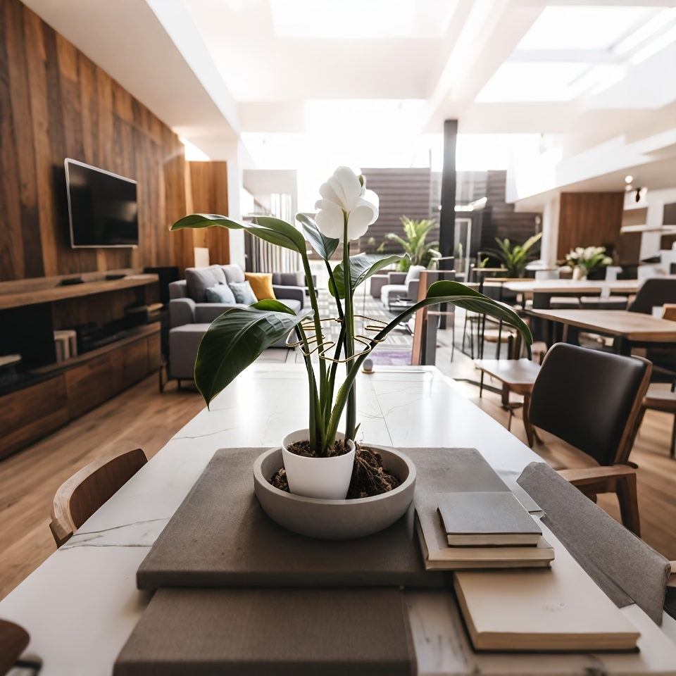 Plant Stem Support - Durable Monstera Stabilizer Grab Bar, Unique Climbing Plant Design, Turtle-Shell Bungie Kit, Ideal Plant Support for Healthy Growth, Decorative Plant Support