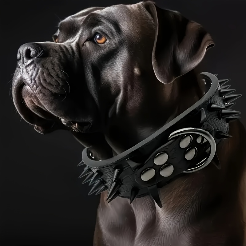 TORRUNA Hundehalsband Aus Weichem Echtleder – Robust & Komfortabel, Größen XS-XL, 7 Farben