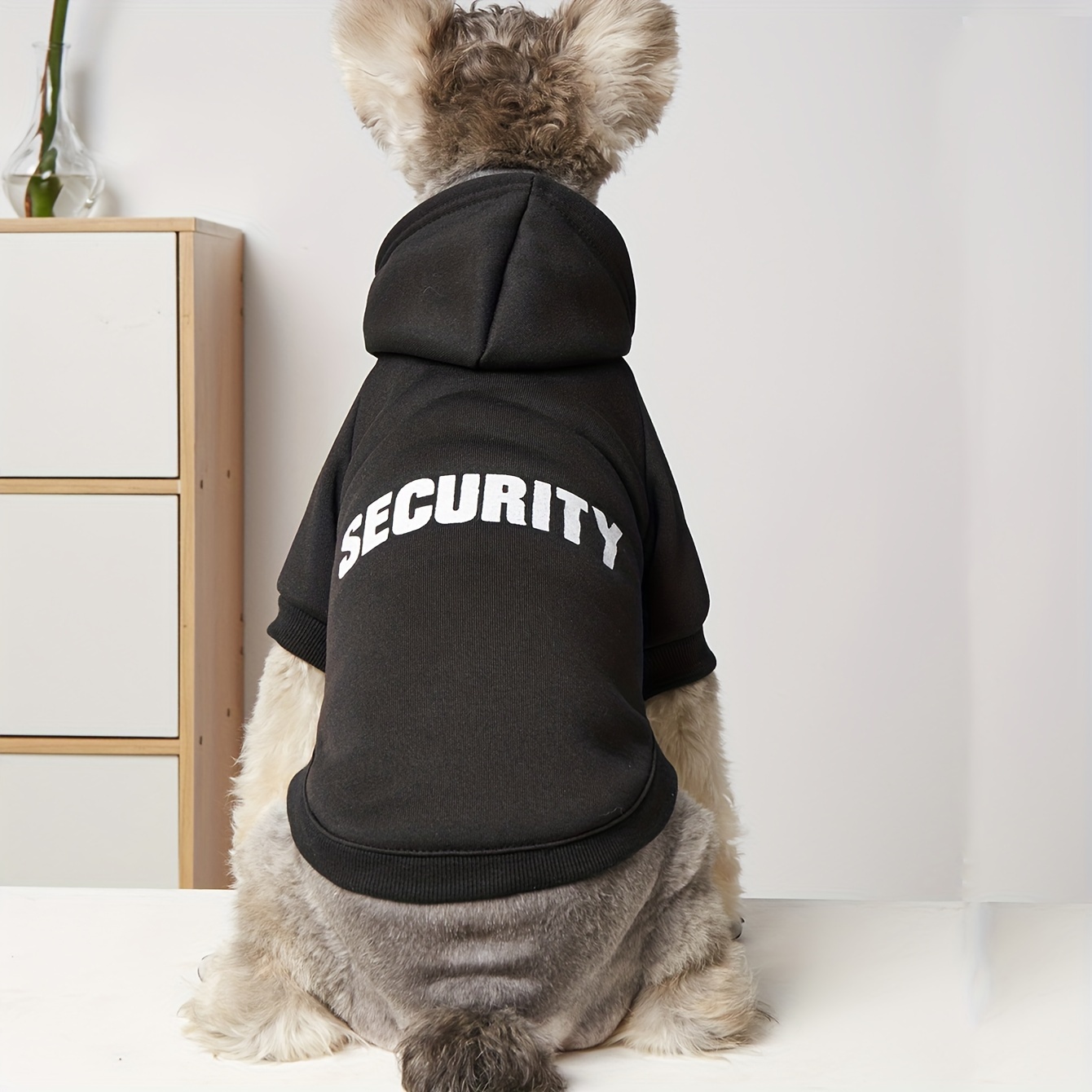 

Letter For , & Toy Dog Breeds - Pet Sweatshirt