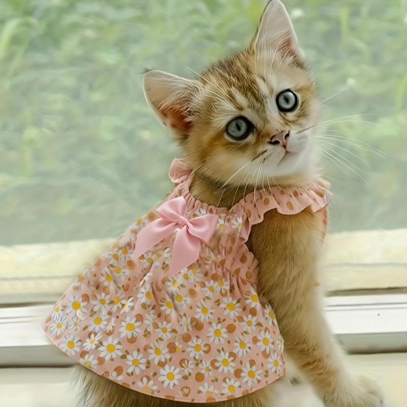 cute cat dress Pink Fur Pet Dress: Cat Dog Costume for Photoshoot