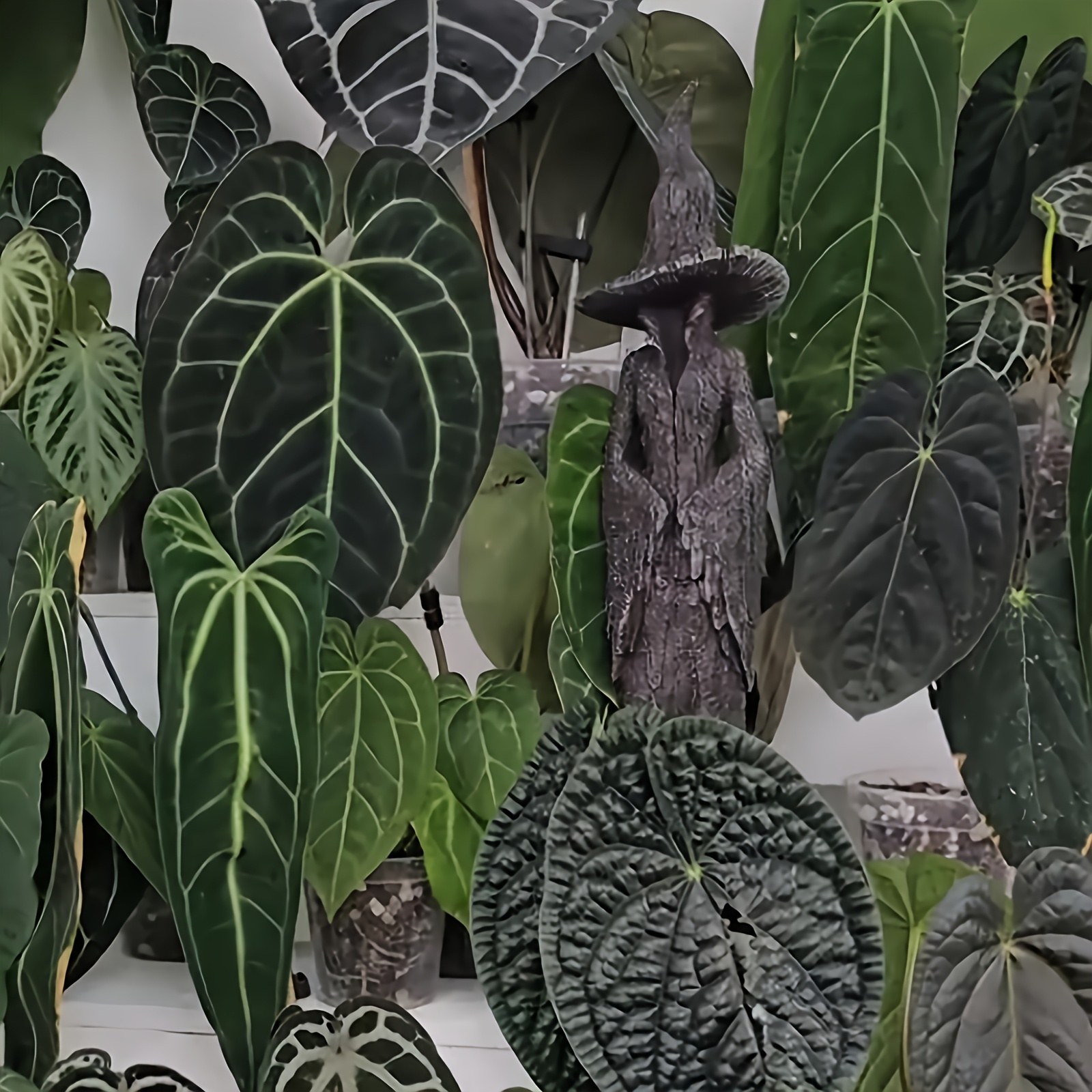 Handbemalte Hexen Statue - Home Guardian 30cm Resin Figur