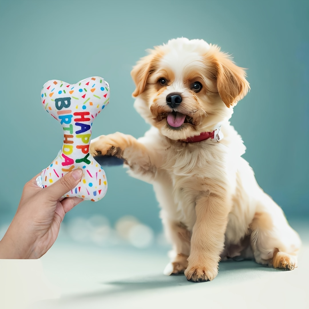 

Squeaky Birthday Bone-shaped Plush Dog Toy - Chew And Interactive Breeds