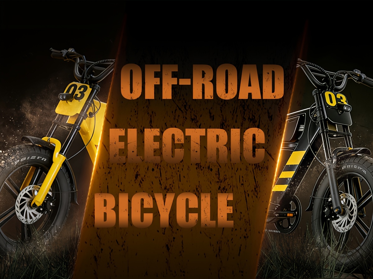 hardcore off road electric bike featuring a full suspension system and hydraulic brakes to         with 20 x4 0 wide tires and a 48v 18ah battery for     miles of range this   all terrain   Product details 0