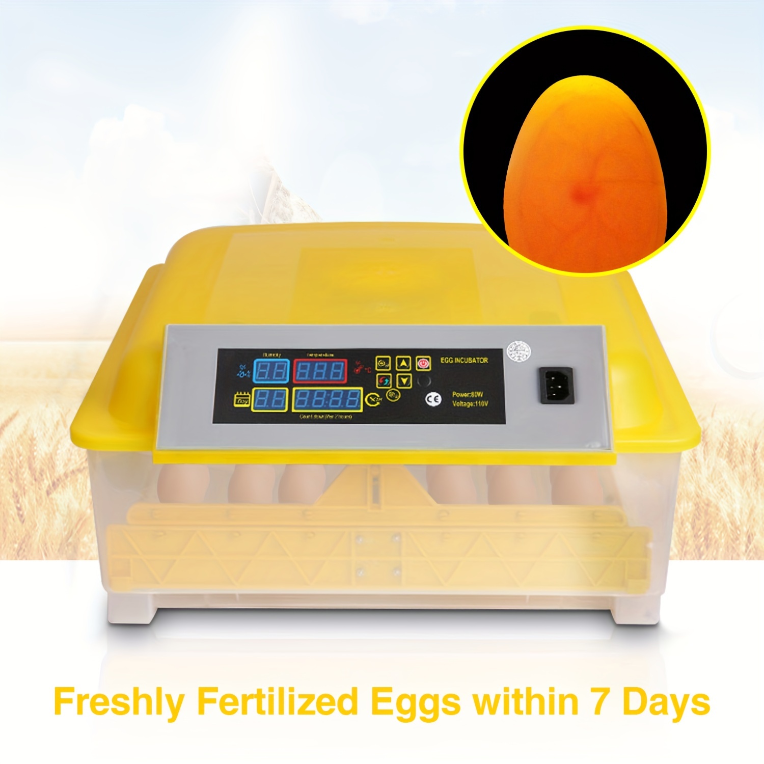 48 Egg Incubator Egg Incubator Chickens Quails Eggs Digital - Temu