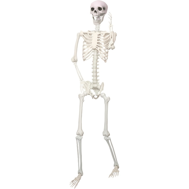 Image of 6ft Poseable Reaper Skeleton For Halloween, Life-size Full Body Decoration With Movable Joints, Scary Outdoor Yard Props For Haunted House