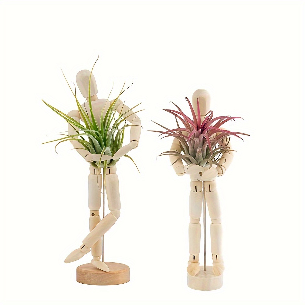 

2-pack Adjustable Wooden Air Plant Stands - Versatile Desktop Display Holders For Home & Office Decor, Perfect Housewarming Gift