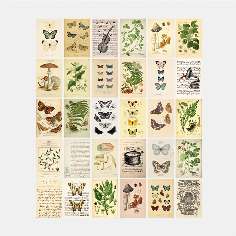 2d Flat, 2d Flat, 30 Bio Postcards Botanical Wall Stickers Room Decoration Cards, Halloween Christmas Decor