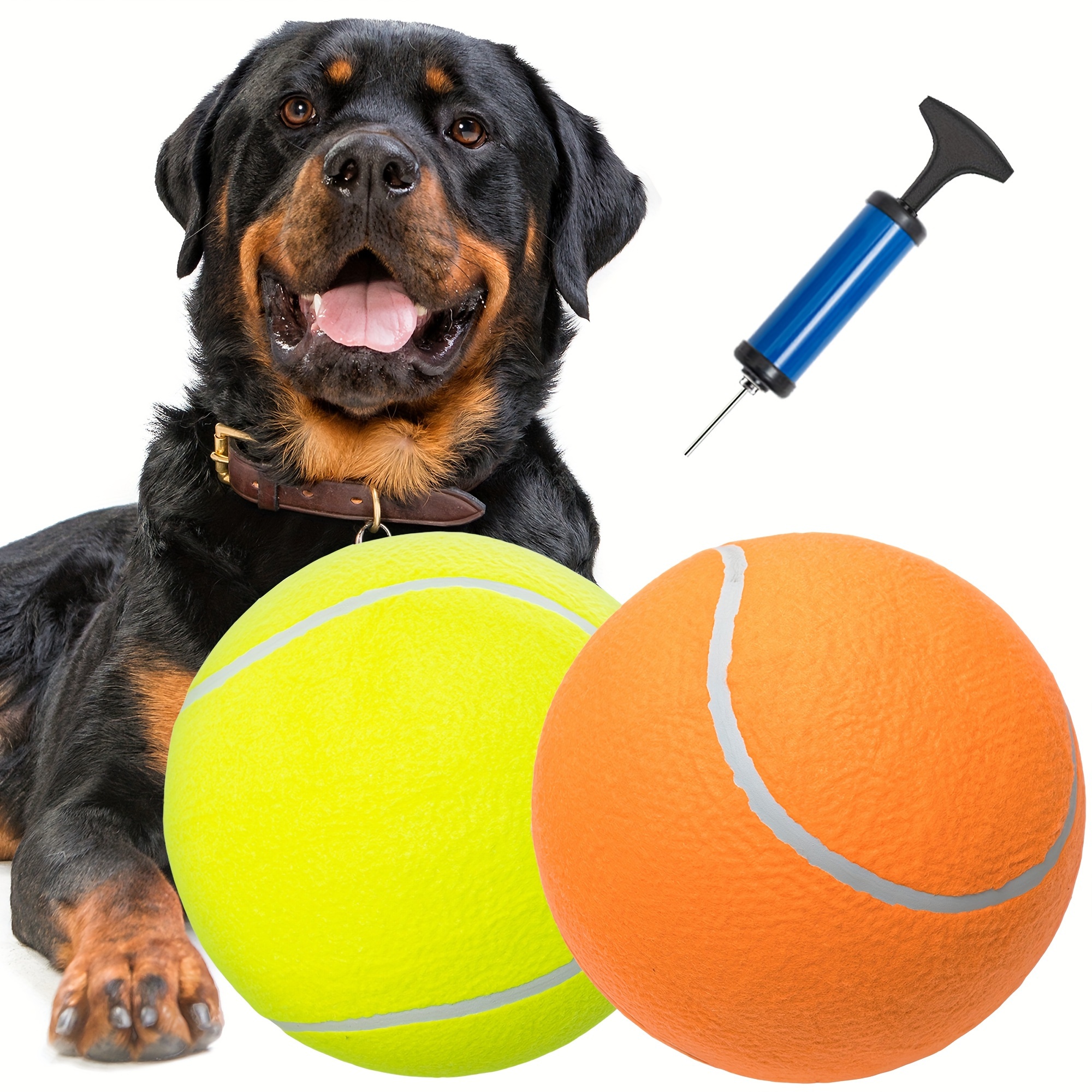 Interactive outdoor dog toys best sale