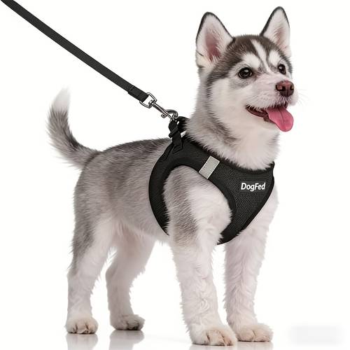 dog harness and leash set all weather breathable mesh reflective soft and lightweight pet vest suitable for small dogs puppies without battery