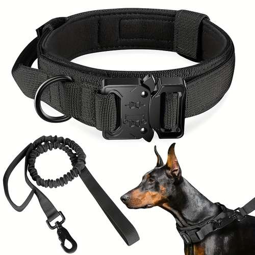 Dog Prong Collar Training: Essential Tips & Techniques