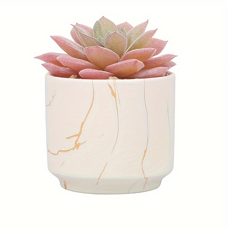 TEMU Artificial Plants And Succulents In 2 White Ceramic Pots, Small Fake Plants For Office And Desk Decor, Bathroom, Bedroom, Shelves For Women