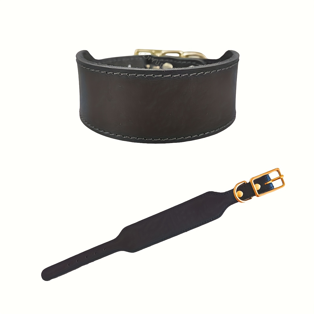 originaler hundehalsband windhunde whippets  breite - Temu Switzerland