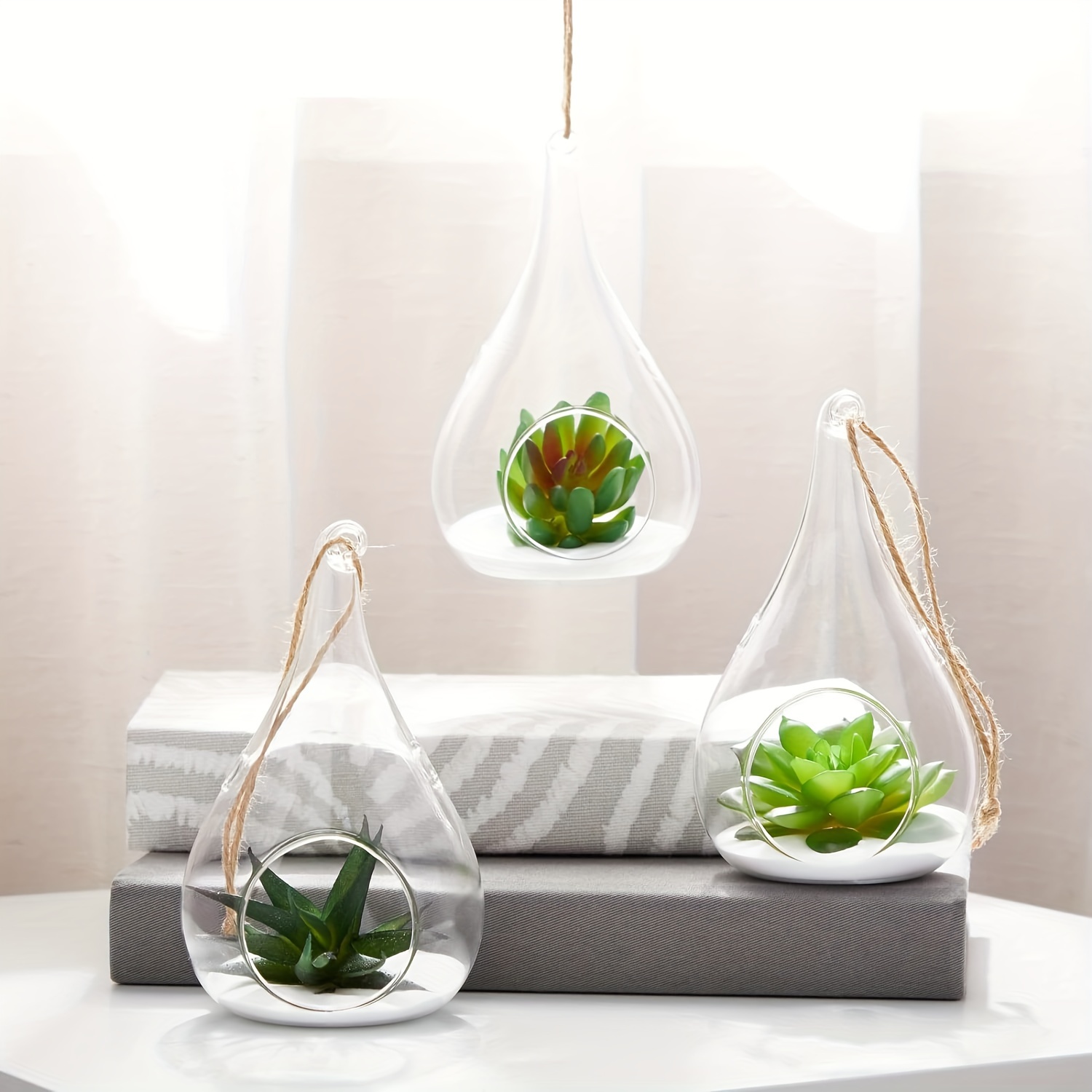 air plant jellyfish Jellyfish Airplants  Pet Safe Tillandsia on Sea Urchin Shell