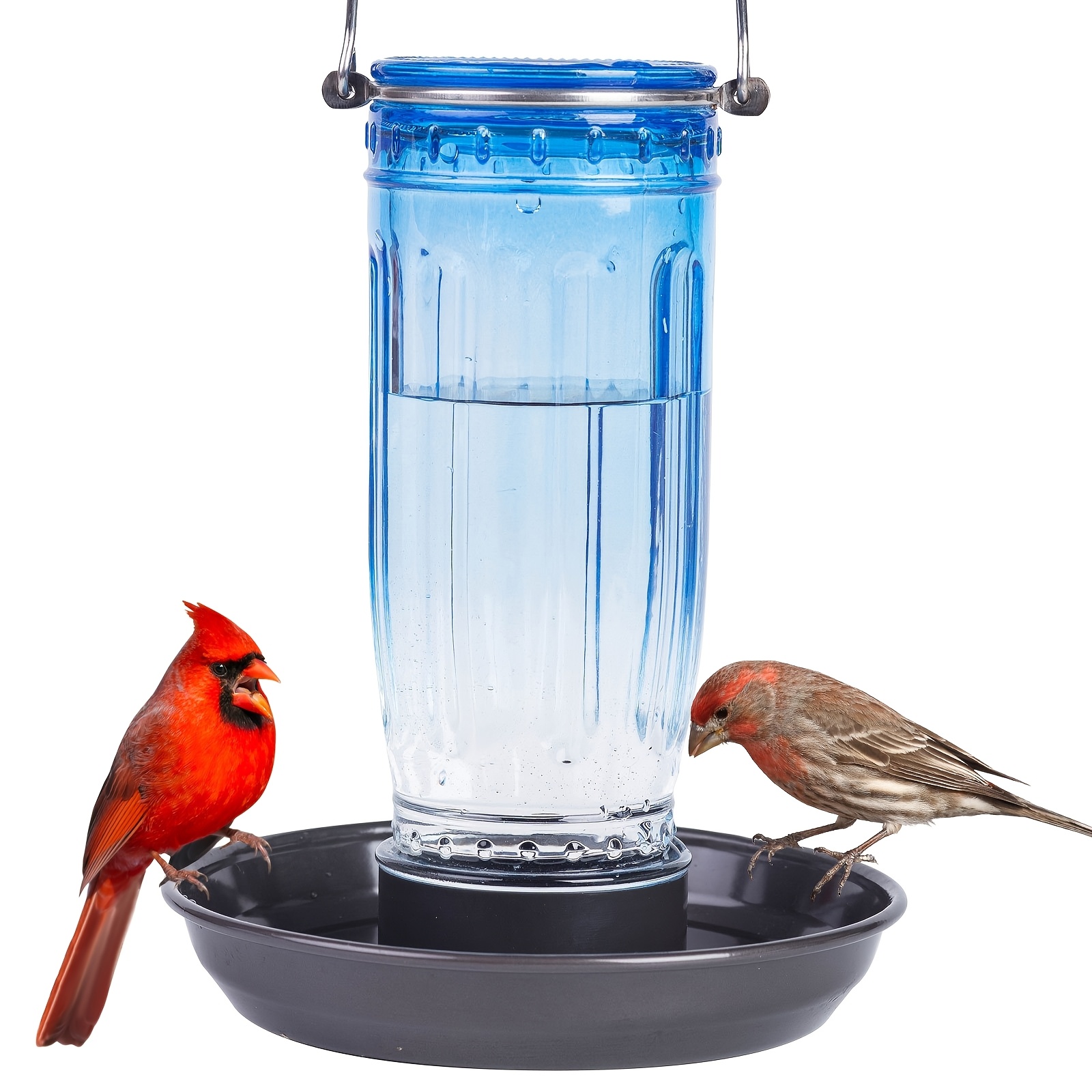 

Kingsyard Bird Water Feeder, 16 Oz Glass Bird Water Dispenser Bird Waterer With Metal Hanging For Garden Yard Outside Decoration, Blue