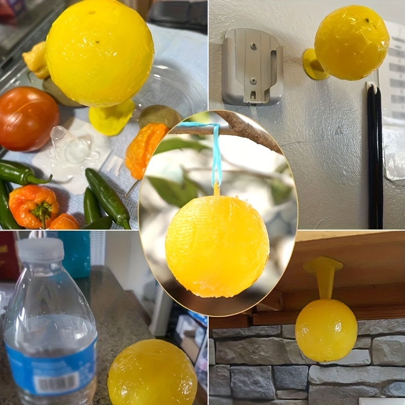 fly traps with base sticky insect balls fruit fly traps wasp mosquito catchers for home indoor outdoor pest control tools non toxic pp material fruit fly catcher trap durable fly traps fruit fly traps details 2