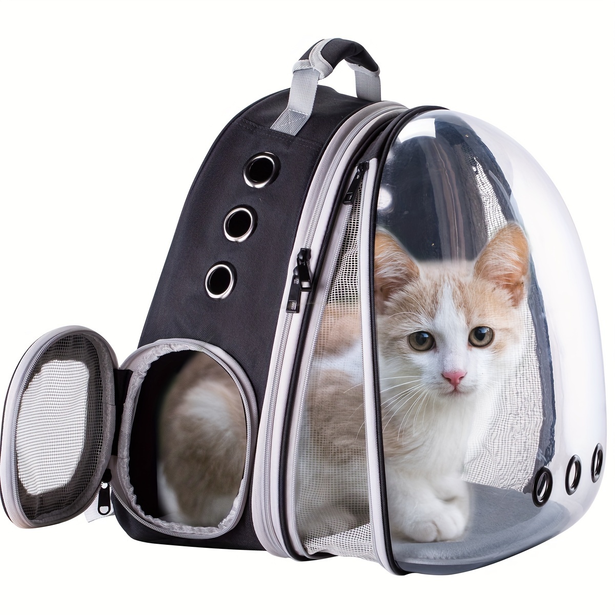 Cat Pet And Capsule