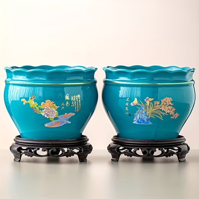 axolotl plants Axolotl Live Plants Bundle main image 0
