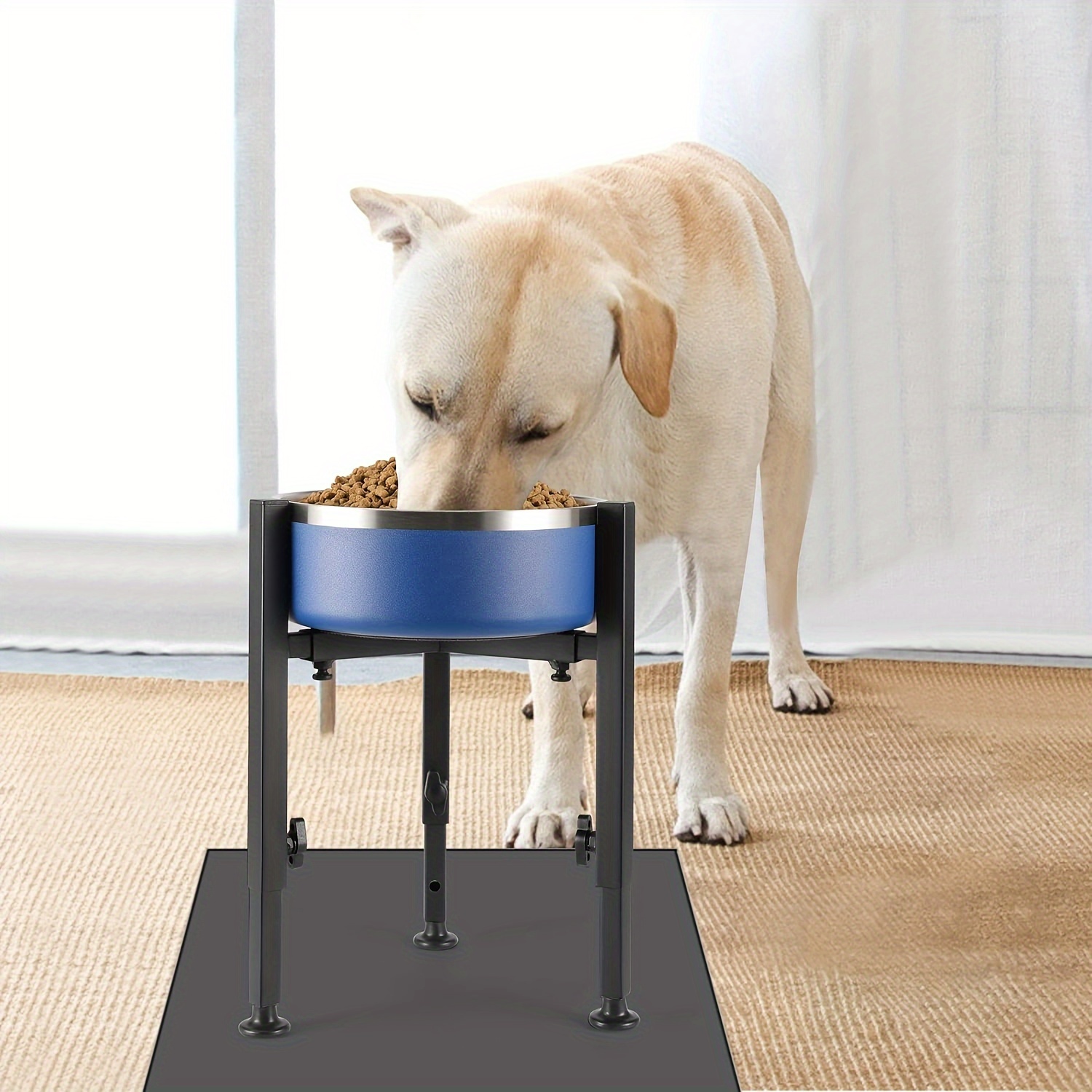 Dog feeding station australia hotsell