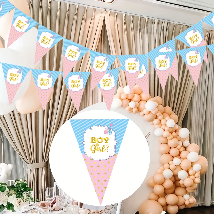 10pcs/set Gender Reveal Triangle Bunting Banners, Pastel Blue "boy Or Girl" Paper Triangle Bunting Flags Banner Set - For Baby Showers & Gender Reveal Hanging Decoration