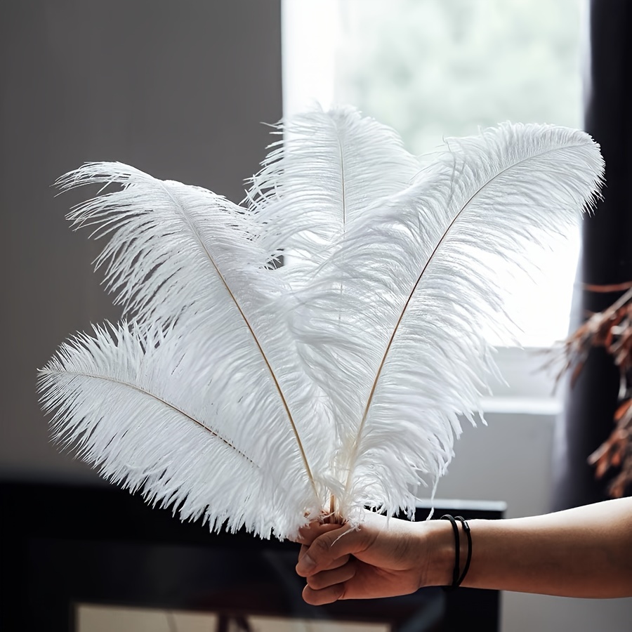 Embracing Elegance: The Allure of Large Decorative Feathers