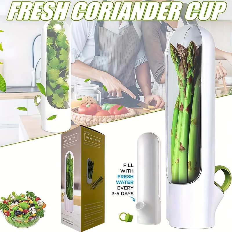 1pc of Herb Preservation Pod, a Container for Keeping Fresh Herbs Like Cilantro in The Fridge, Maintaining The Freshness of Herbs for 2-3 Weeks. Ideal for Home Kitchen Fridge Additions, Storage Boxes, And Organizers