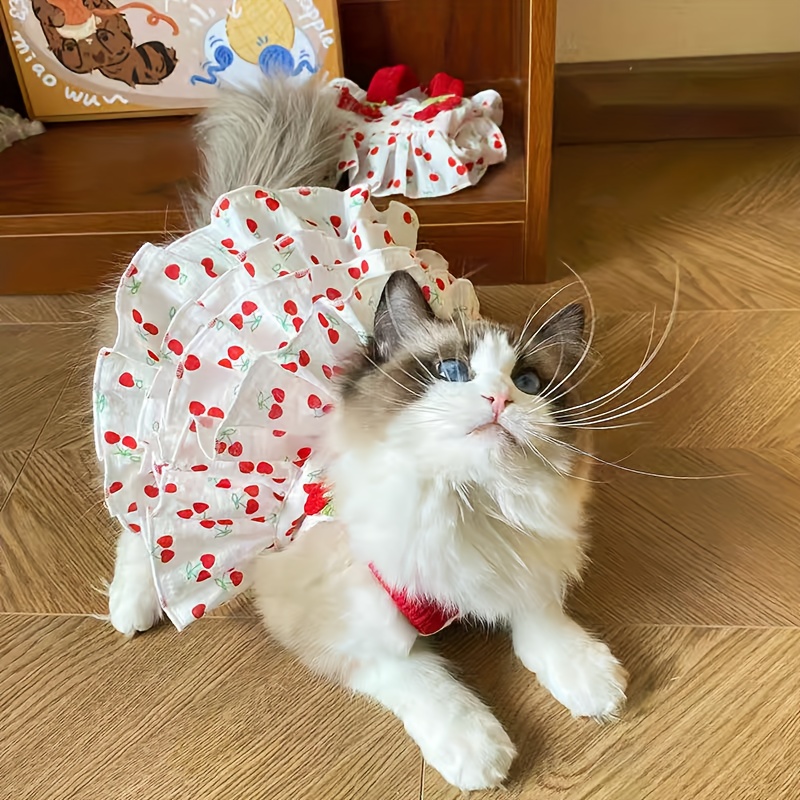 cat summer clothing cute cat skirt suitable cherry - Temu United Arab  Emirates