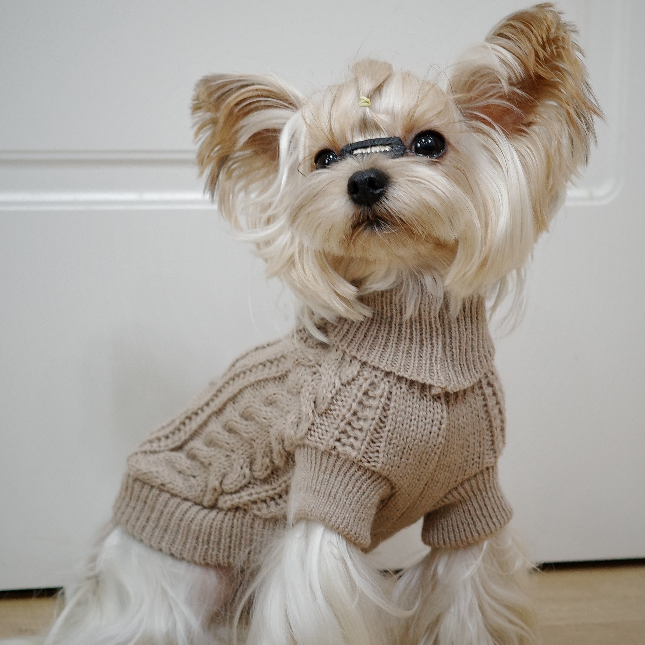 E-shop Kuscheliger Hundepullover mit Blumenmuster – Weicher, maschinenwaschbarer Ganzjahres-Pullover für kleine bis große , gemütlicher Strickpullover