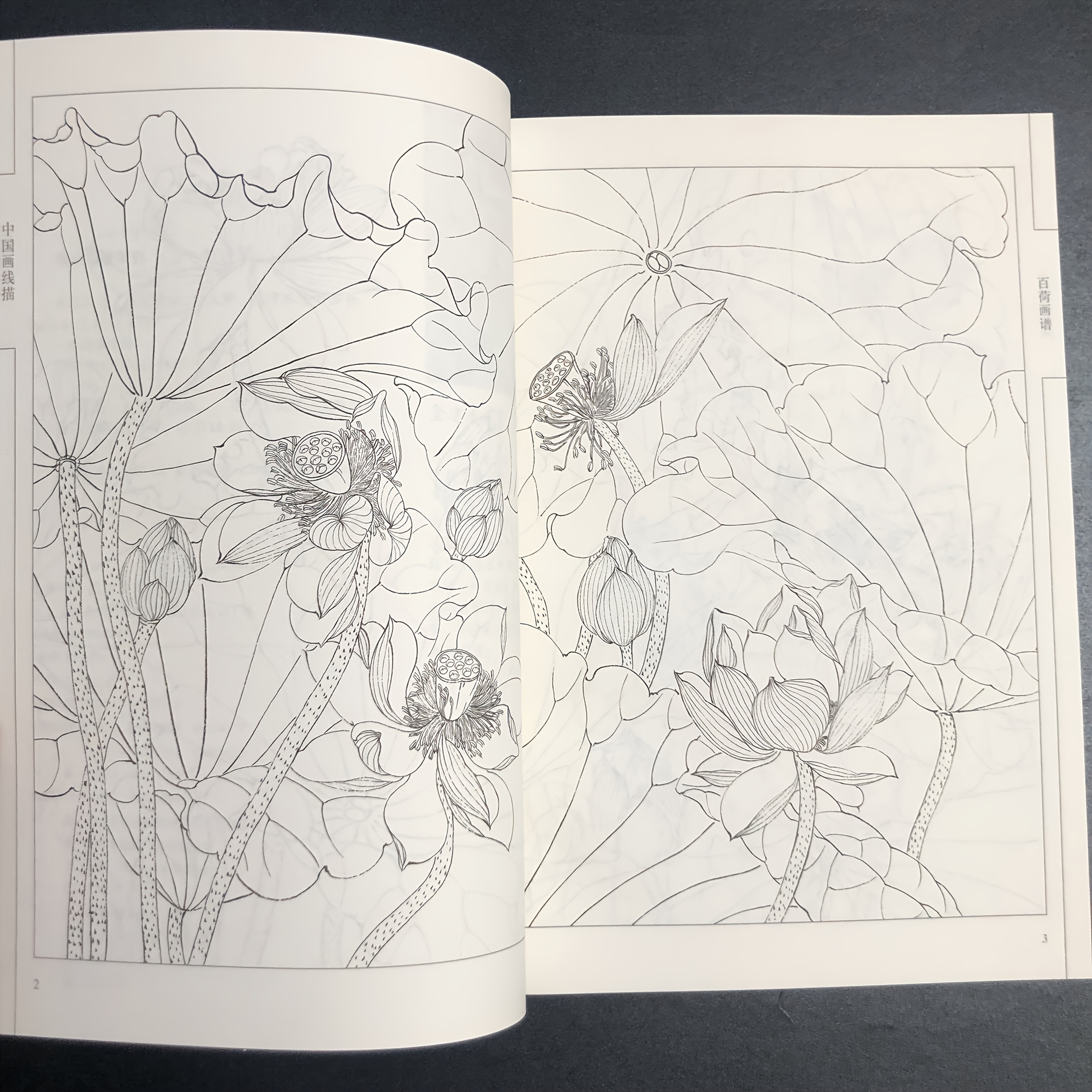 Chinese Line Drawing, a Collection of Lotus Paintings, Suitable for Teenagers And Adults for Stress Relief, DIY Coloring Book, Watercolor, Ink Painting, Oil Painting, Collection of Chinese Art, Chinese Painting Art. Chinese Version