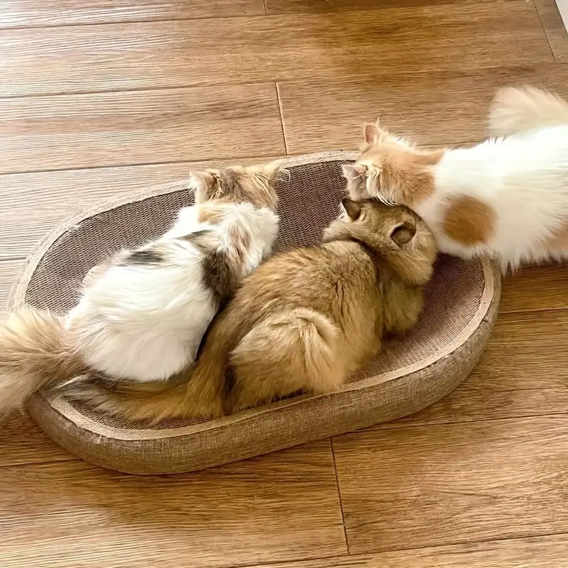 extra large oval cat scratching post board large heavy duty scratch pad with toy ball no assembly needed non toxic surface for indoor outdoor use ideal for multi cat households durable floor protector for furniture safety woven texture jute material Product details 1