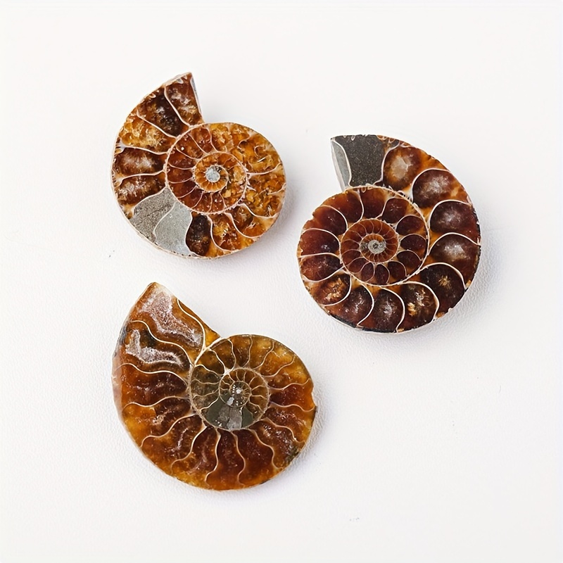 Chakra Heilung Kristall Stein Halskette Ammonite Fossil Natural