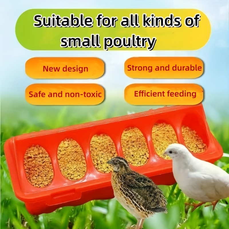 

1pc Automatic Poultry Feeder & Waterer - Plastic, No Battery Needed For Chickens, Quails & Small Birds