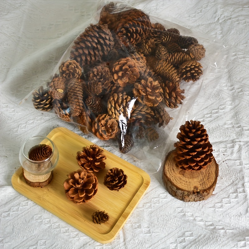 

50-piece Pinecone Craft Set - Assorted Varieties For Diy Projects & Home Decor, Ideal For Thanksgiving, Christmas & Weddings