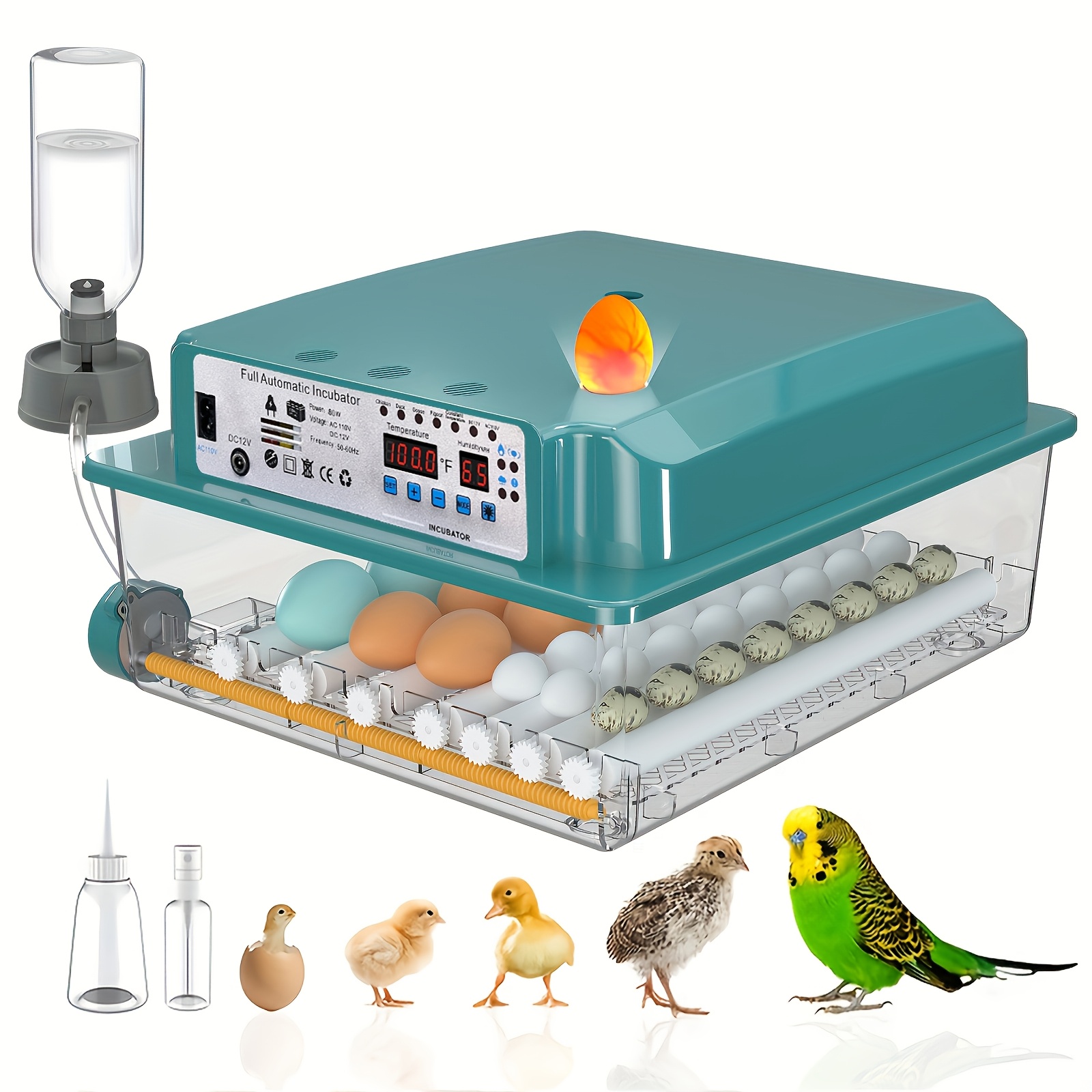 

Incubators For 36 Eggs, Fully Automatic Incubators, Incubators With Automatic Egg Turning And Humidity Monitoring, Incubators With Egg Lamps For Hatching Eggs, Duck Eggs, , Eggs And Quail Eggs