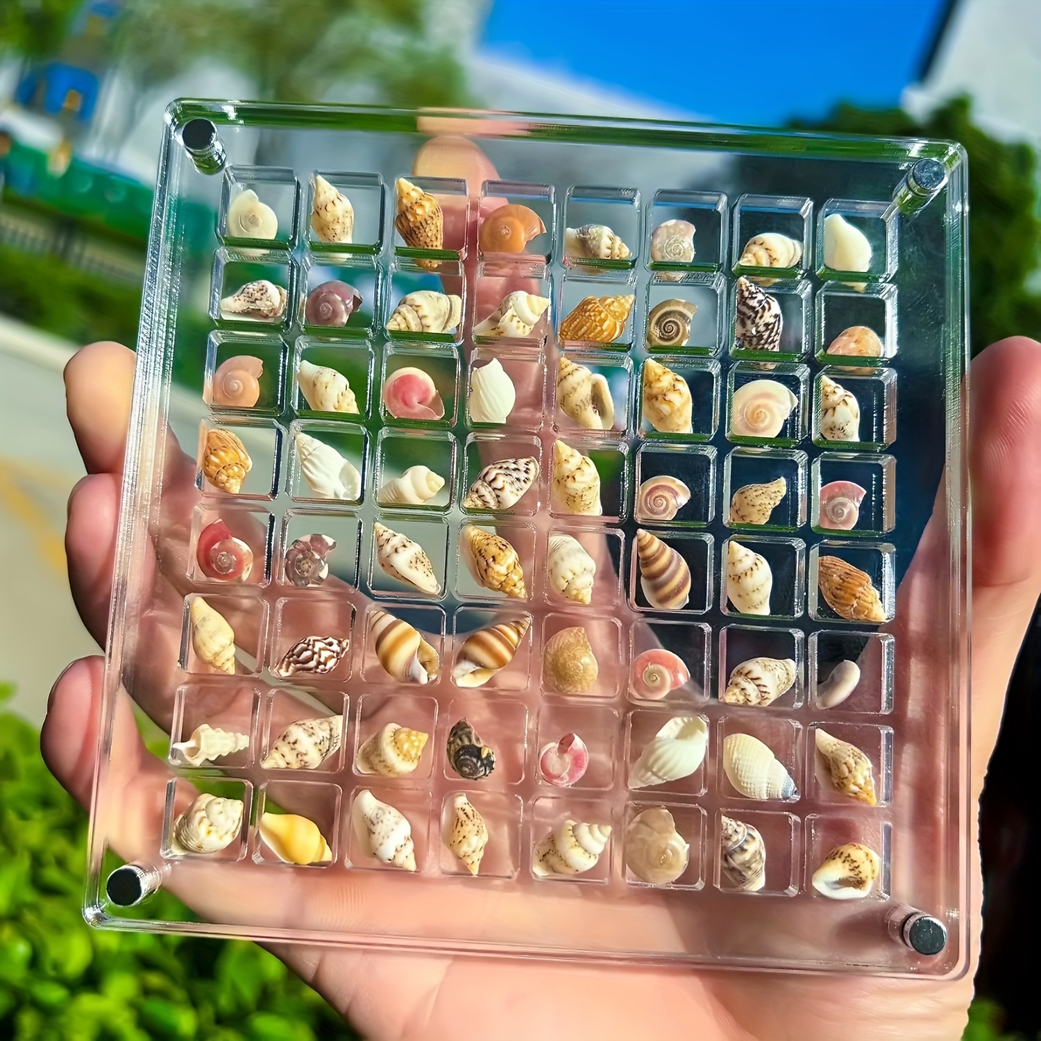 

elegant" 64-grid Acrylic Magnetic Display Case For Seashells, Starfish & Jewelry - Stackable Organizer Box For Craft Supplies
