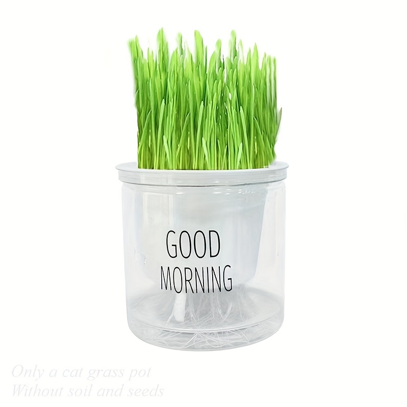 TEMU Automatic Self-watering Cat Grass Planter With "" Label - Transparent Plastic Cat Grass Pot For Indoor Cats, -- Decor