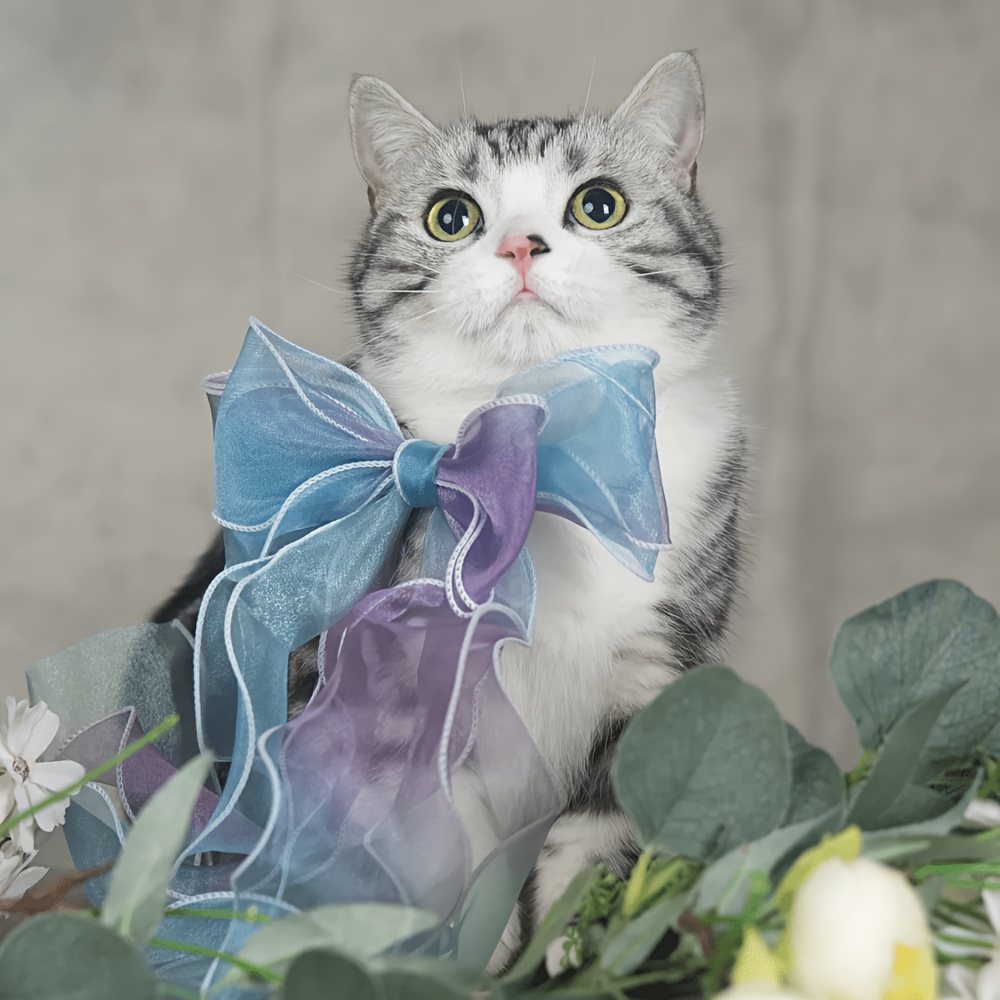 Ombre Pearlescent Double-Layer Bow Pet Collar for Small Dogs