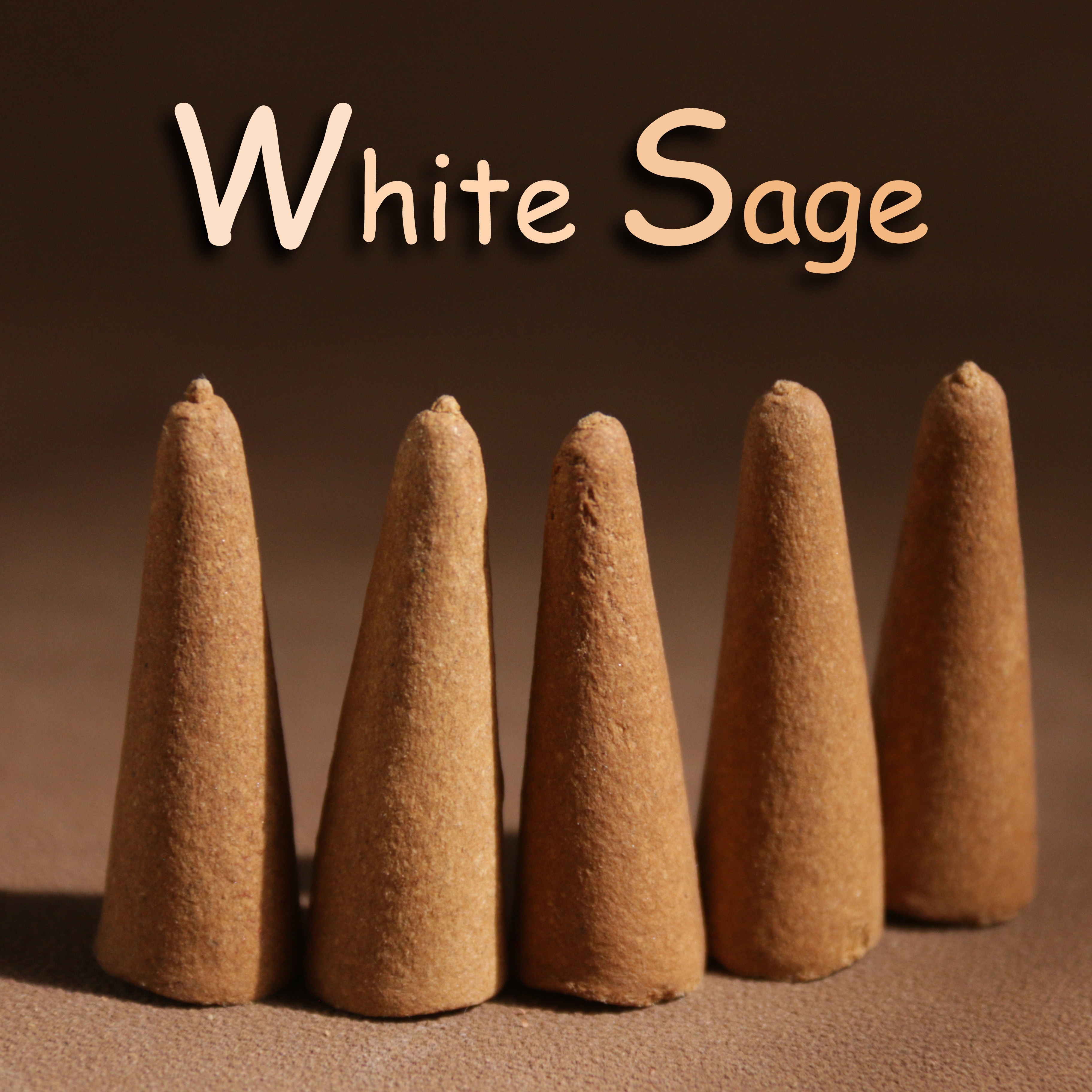 

White Sage Incense Cones: Aromatic Wooden Cones For Space Cleansing, Relaxation, And Festive Celebrations - Suitable For Christmas, , Hanukkah, Dia De Los Muertos, And Day