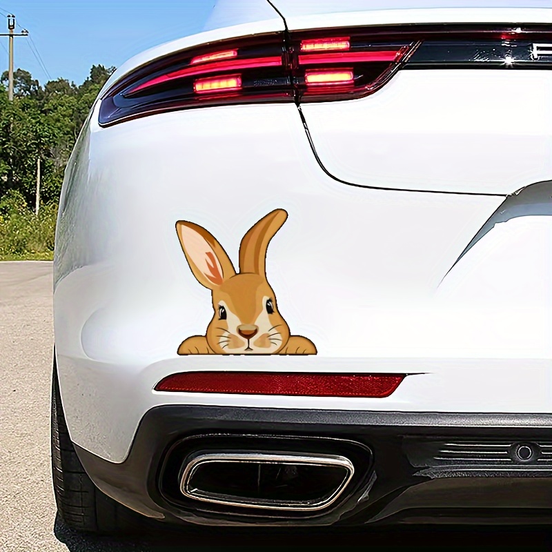 Day Rabbit Peeking Stickers Funny Bunny Decals Cars Window Temu