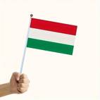 12pcs handheld small flags of hungary