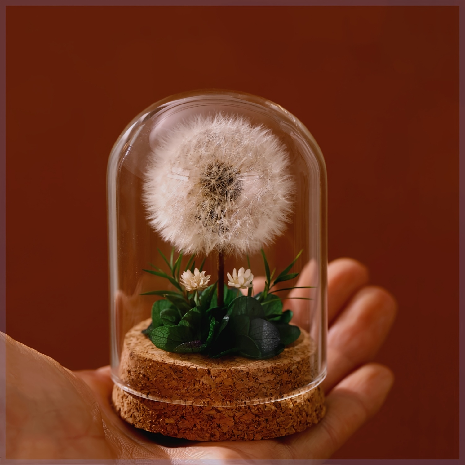 1pc Glass Dome Dandelion Plant Display - Realistic Artificial Flower Arrangement With Cork Base, Perfect For Home Decor_voghion.com